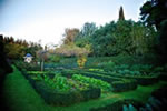 Splendid Villa - Wonderful Garden